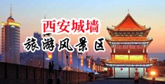 能看美女被操逼的网站大全中国陕西-西安城墙旅游风景区